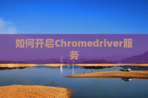 如何开启Chromedriver服务